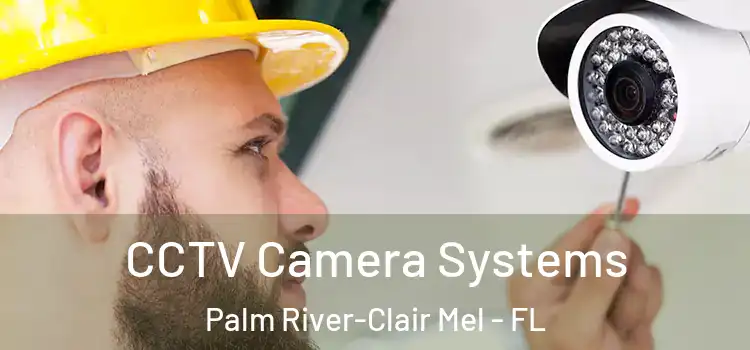 CCTV Camera Systems Palm River-Clair Mel - FL