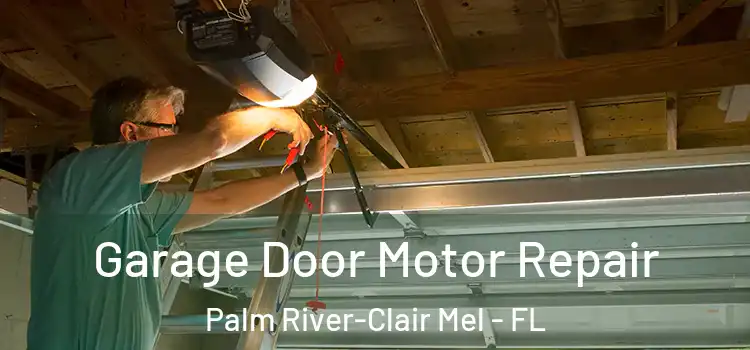  Garage Door Motor Repair Palm River-Clair Mel - FL