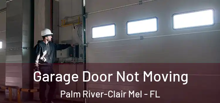  Garage Door Not Moving Palm River-Clair Mel - FL