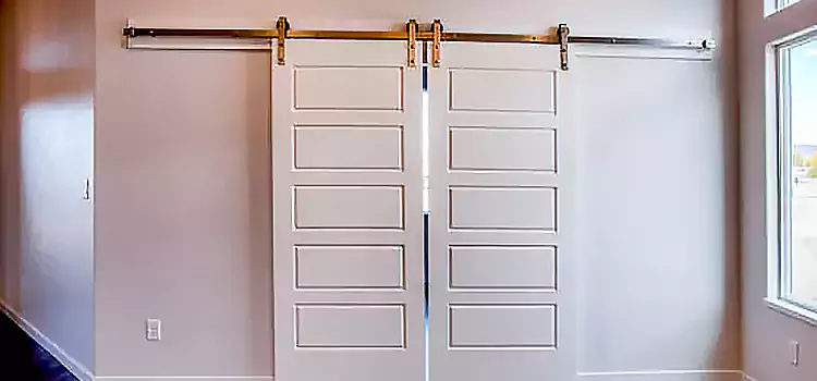 Glass Barn Door with Installation Hardware Kit Palm River-Clair Mel