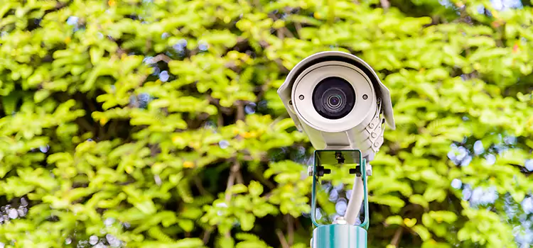 Advanced Surveillance Solutions for Every Need in Palm River-Clair Mel