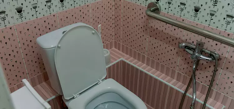 Meeting Diverse Needs With Accessible Restroom Solutions in Palm River-Clair Mel, FL