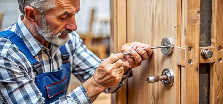 Mortise Replacement Lock Palm River-Clair Mel
