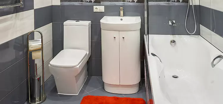 Hansgrohe Shaving Mirror Palm River-Clair Mel
