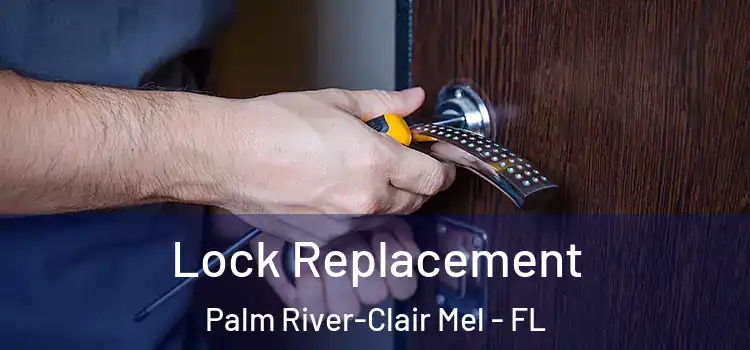 Lock Replacement Palm River-Clair Mel - FL