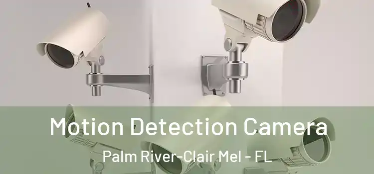  Motion Detection Camera Palm River-Clair Mel - FL