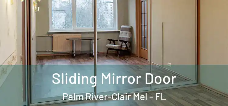  Sliding Mirror Door Palm River-Clair Mel - FL